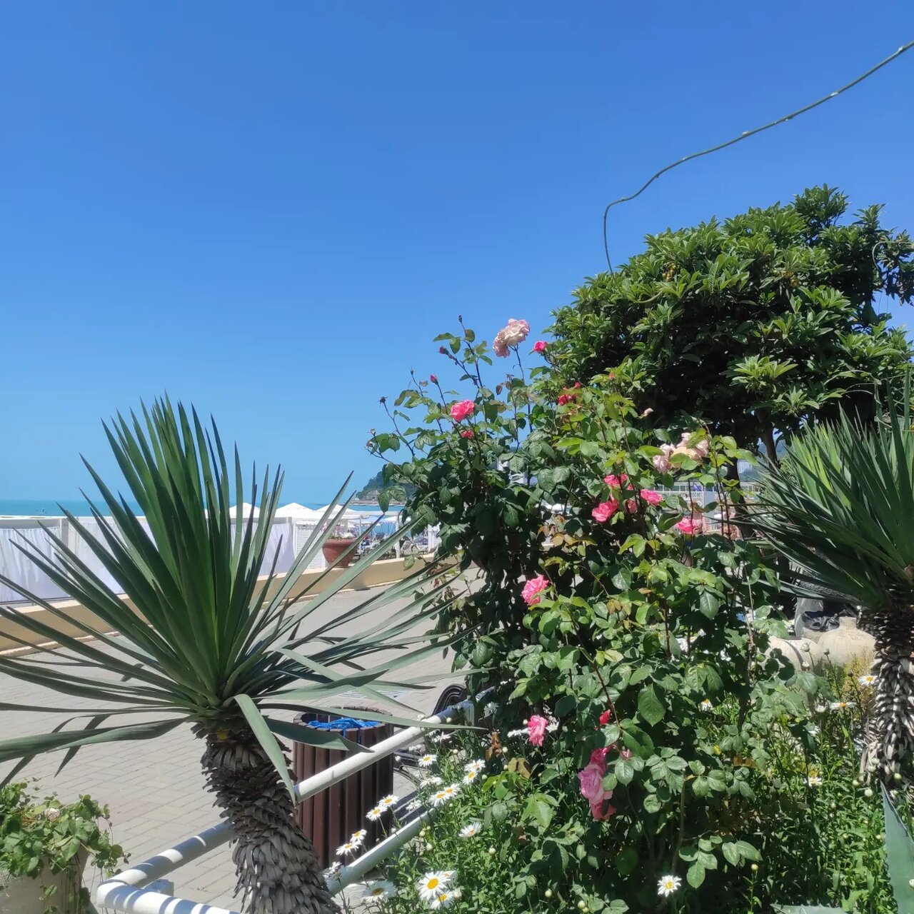 Гостиница Аквамарин Хоста-27