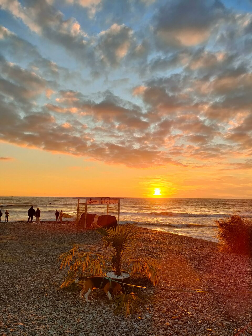 Гостиница Аквамарин Хоста-23