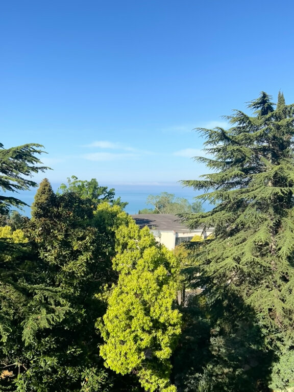 Гостиница Аквамарин Хоста-45