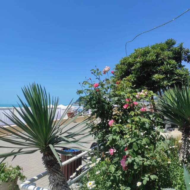 Гостиница Аквамарин Хоста-26