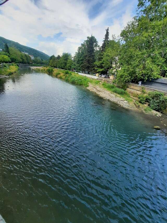 Гостиница Аквамарин Хоста-199